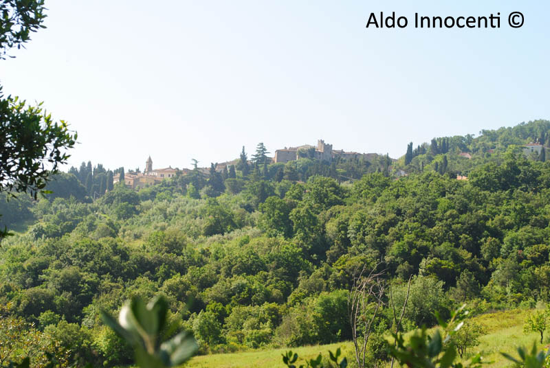 ORCIATICO: PANORAMA 4' IMMAGINE